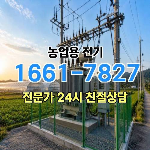 게시판 이미지 14911