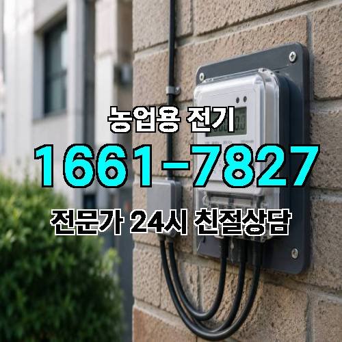 게시판 이미지 15506
