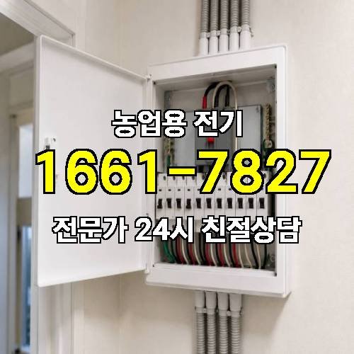 게시판 이미지 16952