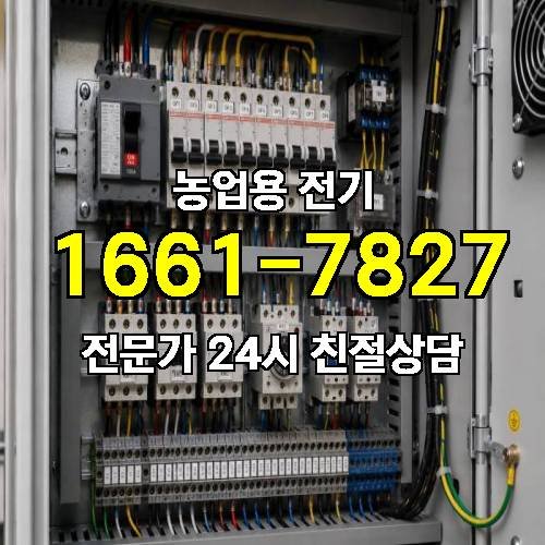 게시판 이미지 17013