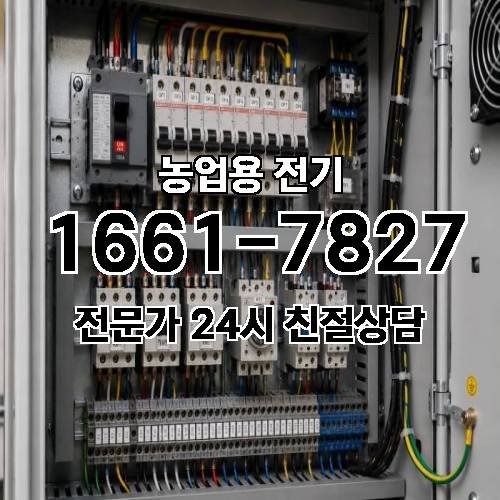 게시판 이미지 17205
