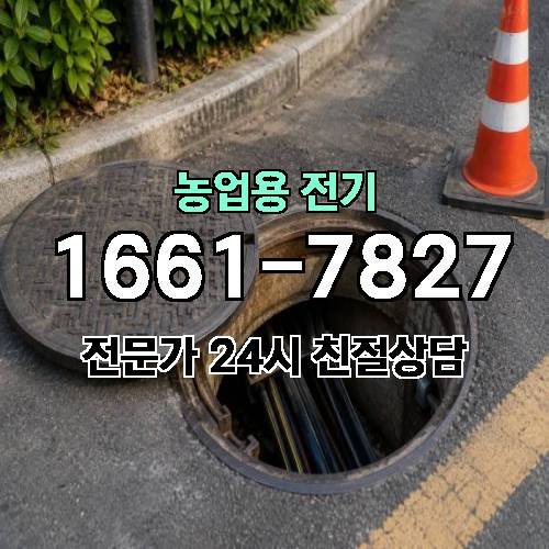 게시판 이미지 17268