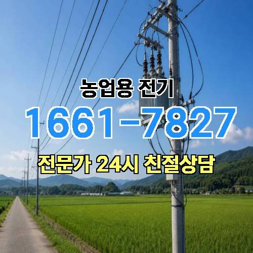 게시판 이미지 17529