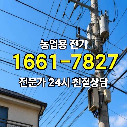 게시판 이미지 17739