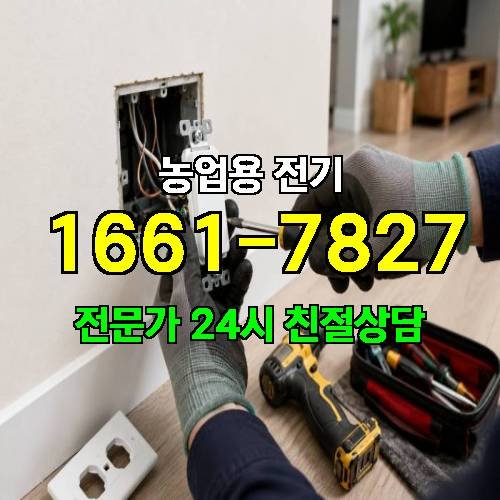 게시판 이미지 18912