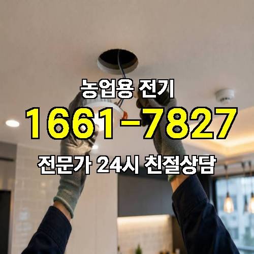 게시판 이미지 19019