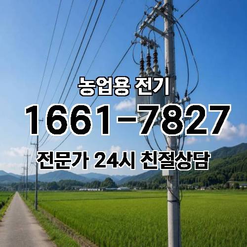 게시판 이미지 19031