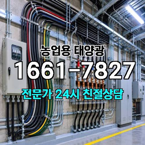 게시판 이미지 1831