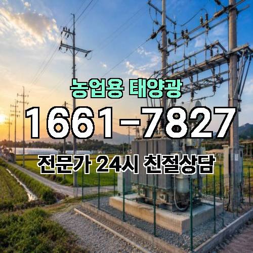 게시판 이미지 1954