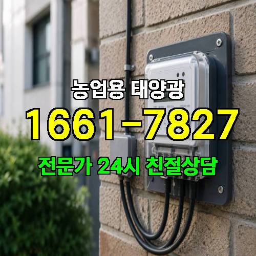 게시판 이미지 2062