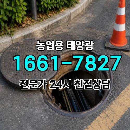 게시판 이미지 2183