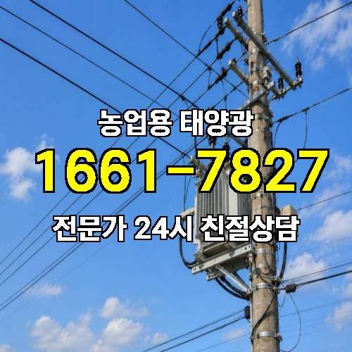 게시판 이미지 2224