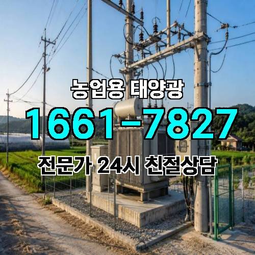 게시판 이미지 2252