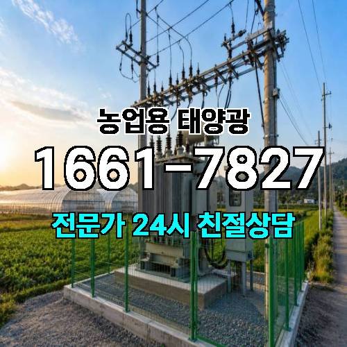 게시판 이미지 2319