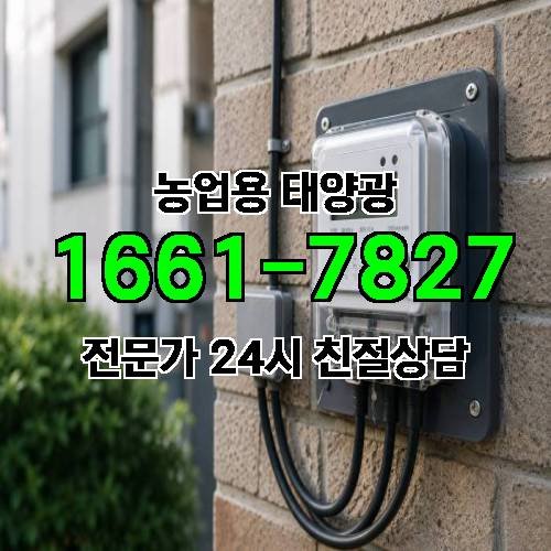 게시판 이미지 2321