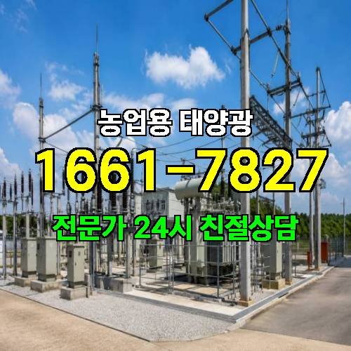 게시판 이미지 2420