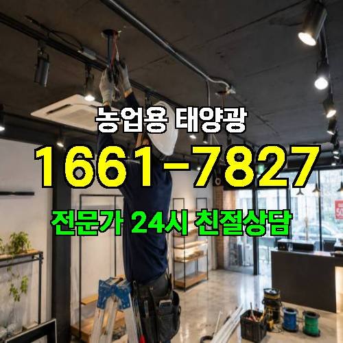게시판 이미지 2597