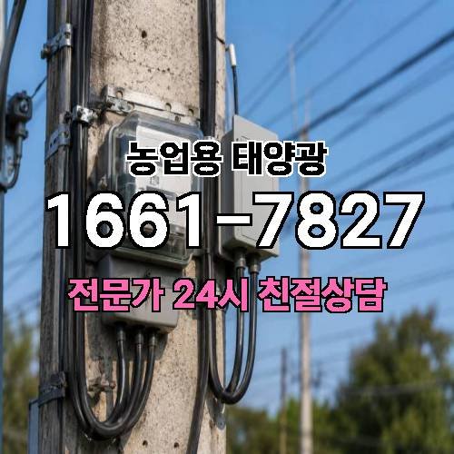 게시판 이미지 3157