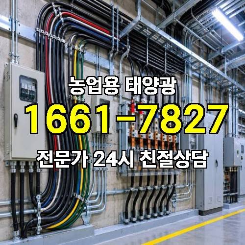 게시판 이미지 3236