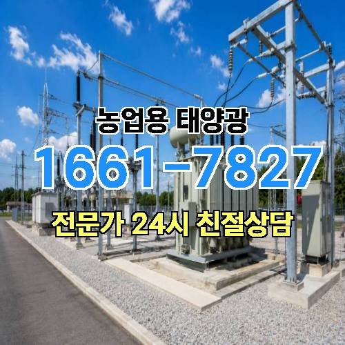 게시판 이미지 330