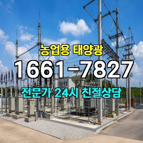 게시판 이미지 3322