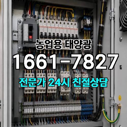 게시판 이미지 3447