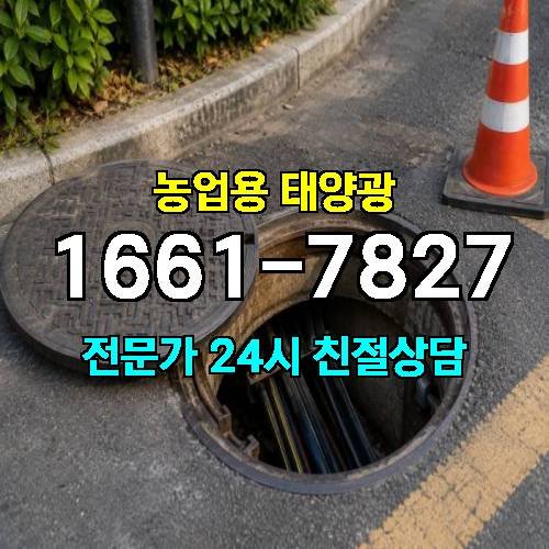 게시판 이미지 3922