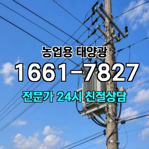 게시판 이미지 4183