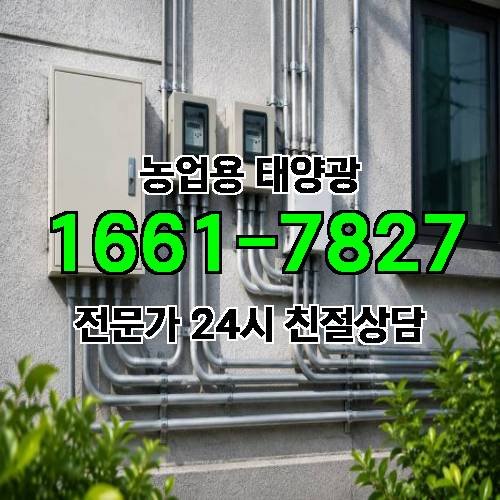게시판 이미지 4198