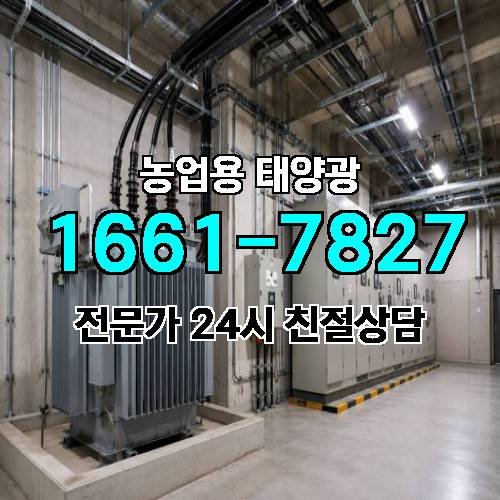게시판 이미지 4291