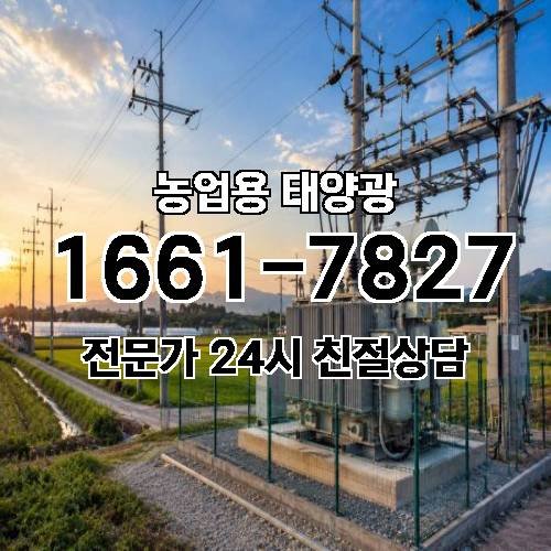 게시판 이미지 4451
