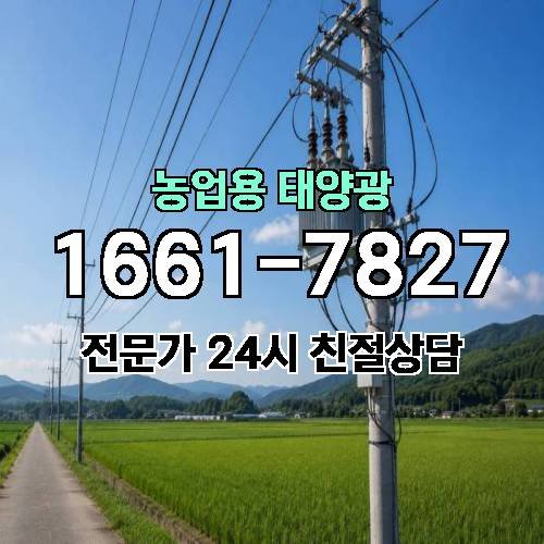 게시판 이미지 4526
