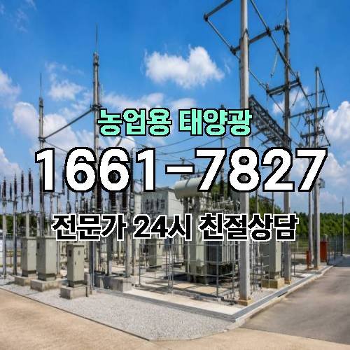 게시판 이미지 4733