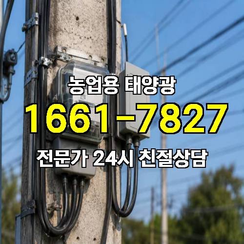 게시판 이미지 4804