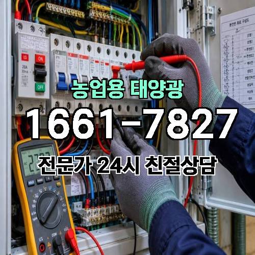게시판 이미지 522