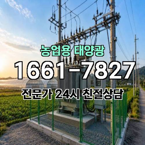 게시판 이미지 545