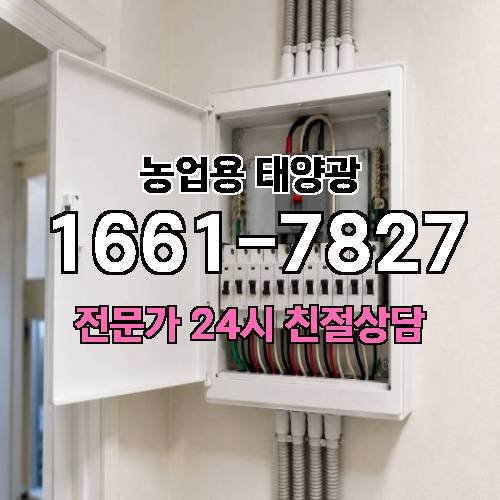 게시판 이미지 779