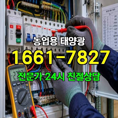 게시판 이미지 792