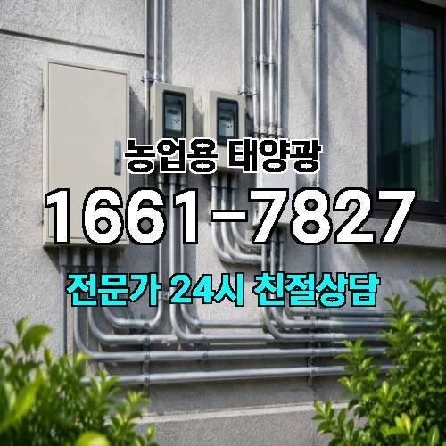게시판 이미지 915