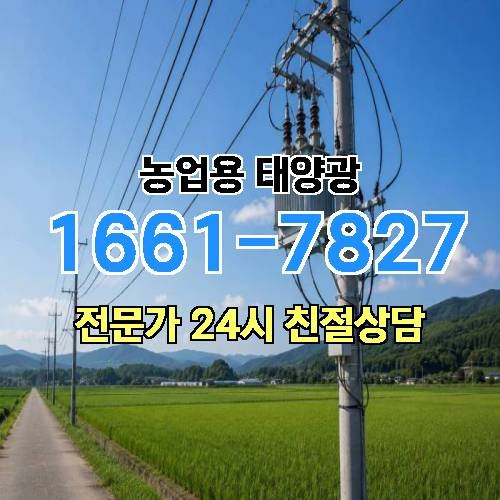 게시판 이미지 953