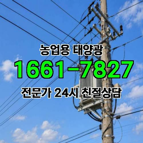 게시판 이미지 979