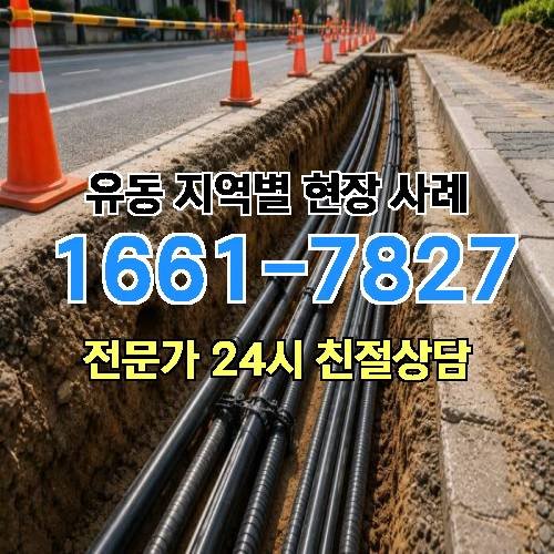 게시판 이미지 16246
