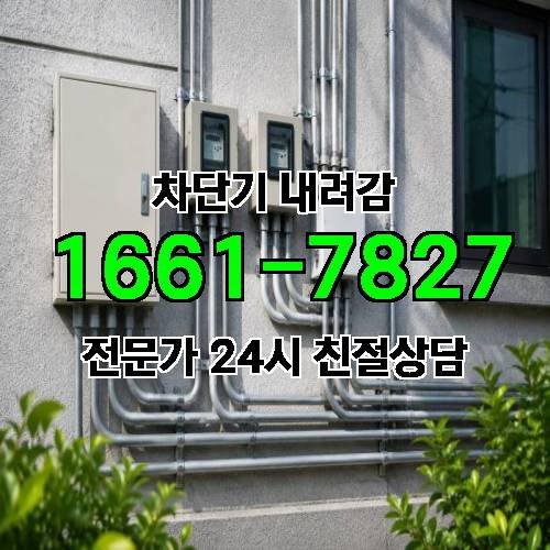 게시판 이미지 1241