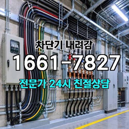 게시판 이미지 1615