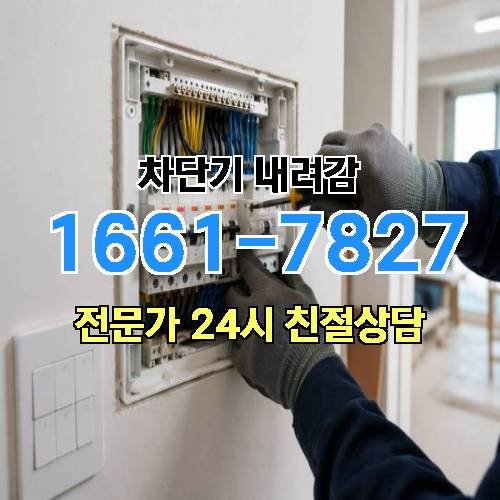 게시판 이미지 2523