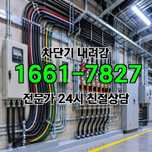 게시판 이미지 2816