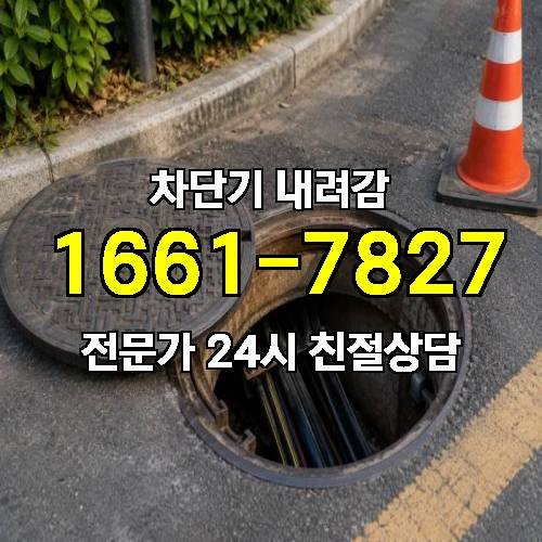 게시판 이미지 3124
