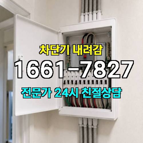 게시판 이미지 3938