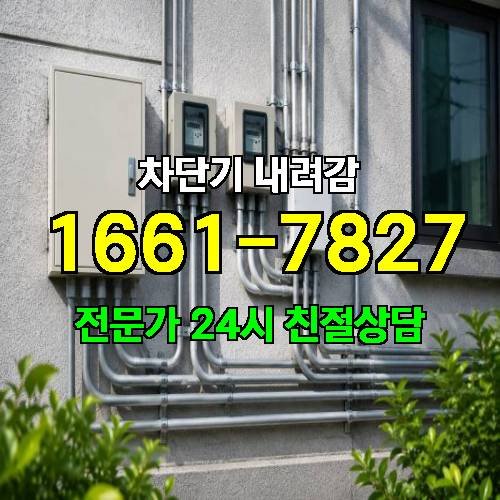 게시판 이미지 4210