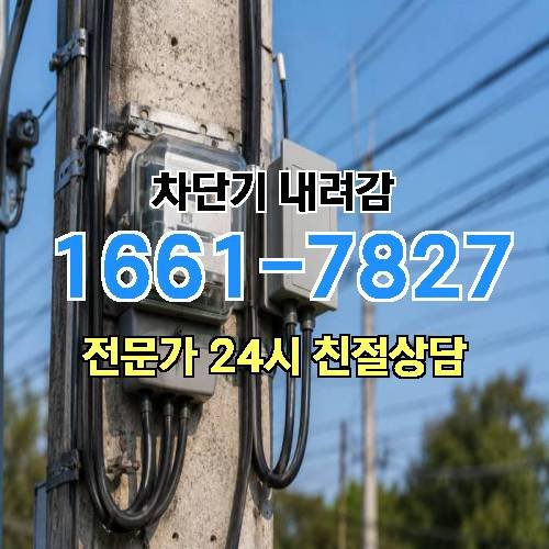 게시판 이미지 4229